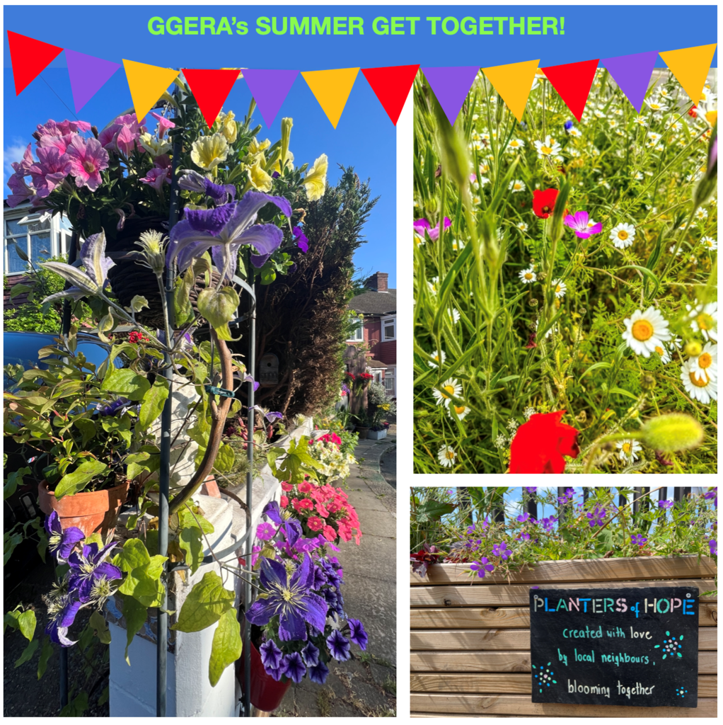 GGERA's Summer Get Together